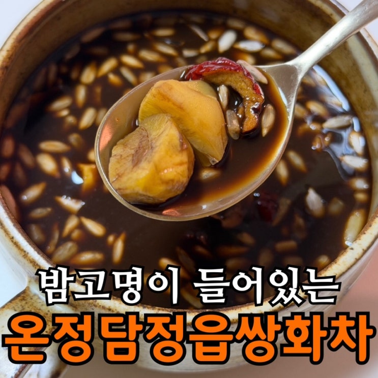 온정담 정읍 쌍화차 진액 후기 | 무설탕 수제 쌍화차 + 밤고명 구성·조리법 총정리