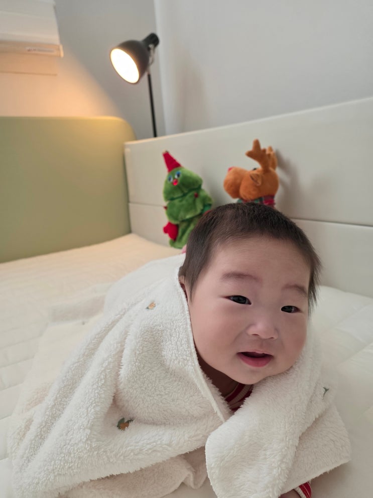  신생아침대부터 유아침대까지! 알집 포레스트 아기 범퍼침대 솔직 사용기