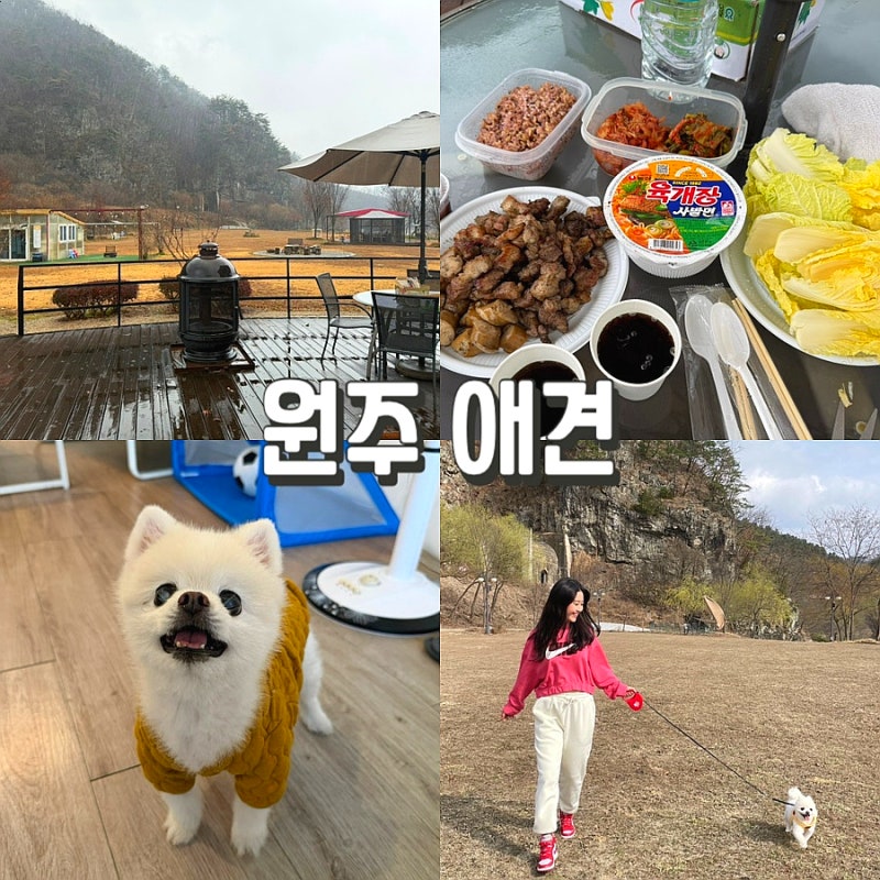 사진 9