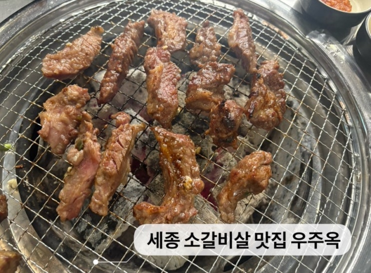   세종소갈비살맛집_#내돈내산 #나성동맛집 #우주옥 #세종포차거리 다녀온 후기 