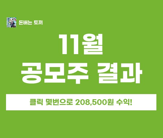  11월 공모주 청약 결과.... 10치킨이나 벌었다고??