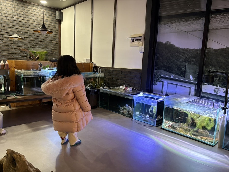 해닭해물닭볶이 동두천점 사진 5