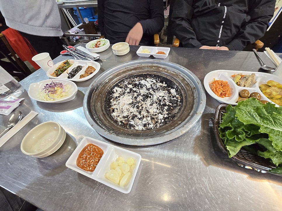 도니돼지 사진 3