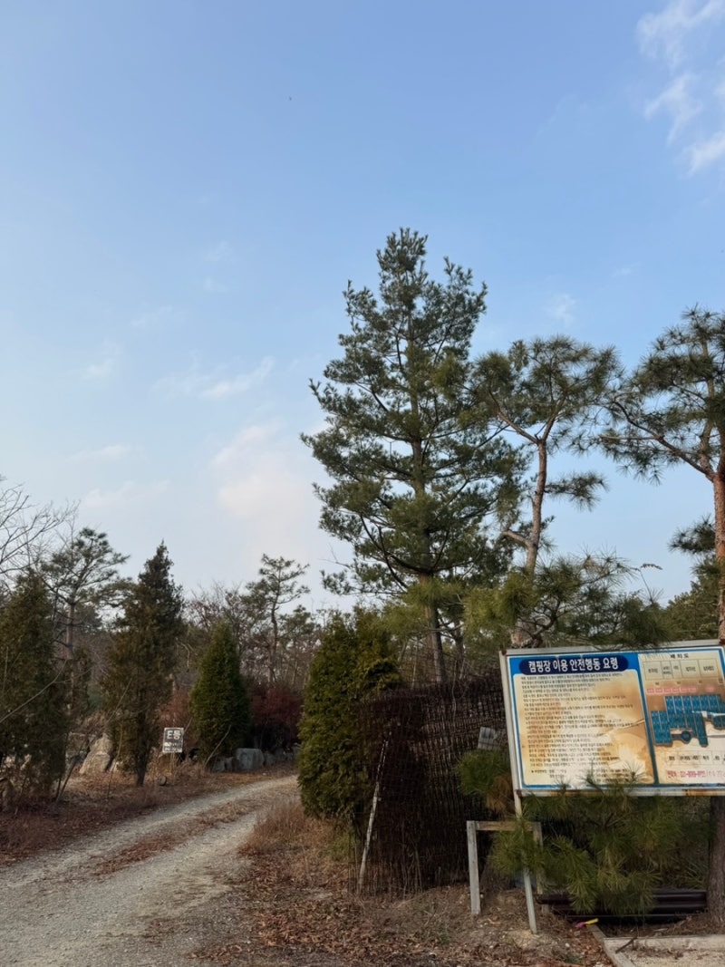 블루마린 오토캠핑장