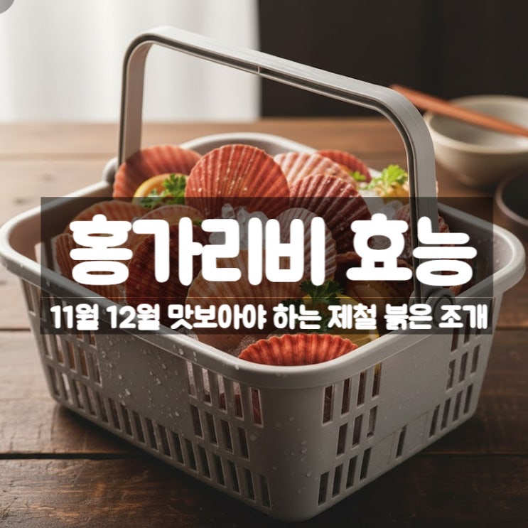  홍가리비 효능 보관 요리 먹는법 – 11월 제철 시기 붉은 조개의 모든 것