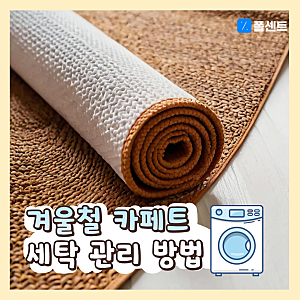 대형 카페트 러그 세탁 방법 집에서 셀프 청소하기