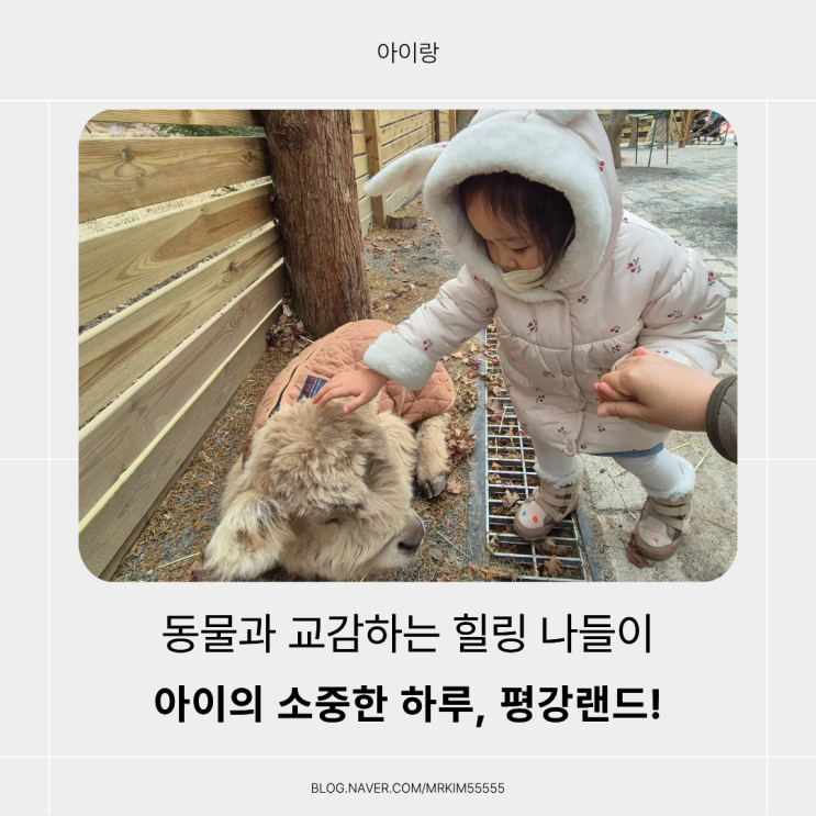  서울 근교 나들이 아이와가볼만한곳 '마이애니멀스토리 in 평강랜드