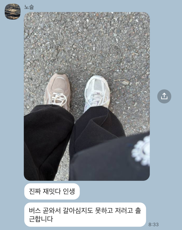  11월 일상 (4)
