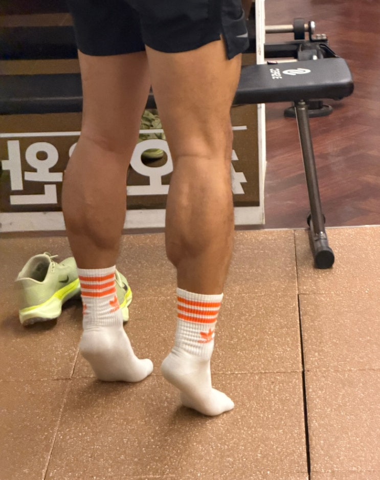  초보 러너의 65차 일지!(‘제2의 심장’ 종아리 근육에 도움이 되는 러닝!)
