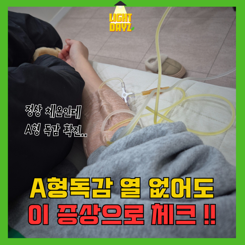 열없는 A형 독감 증상 공유드릴게요 애매해서 대처 늦었더니 후유증 심하네요