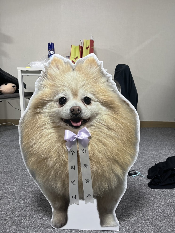  본식 일주일 전에 뭐해요?