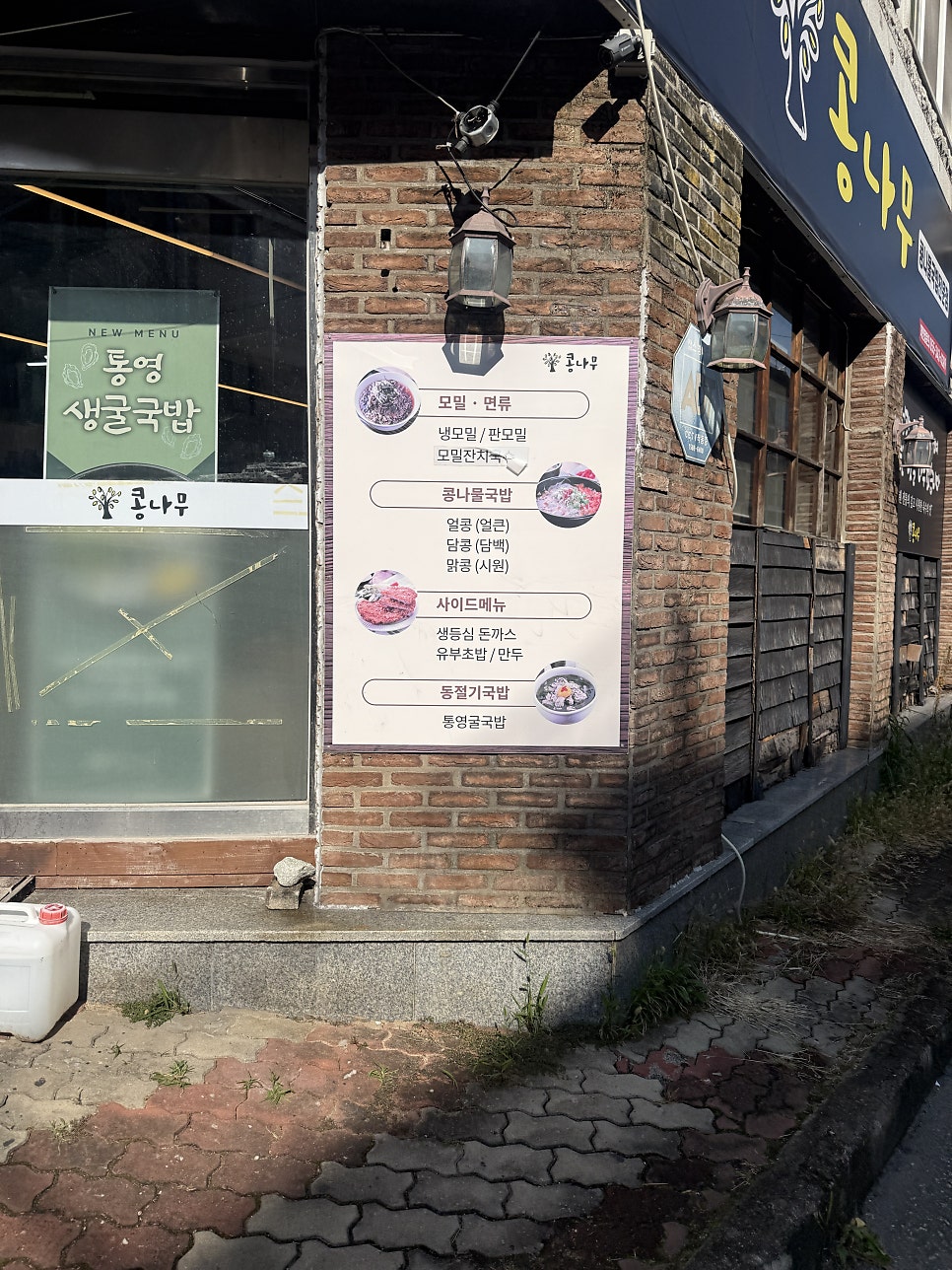 콩나무 사진 2