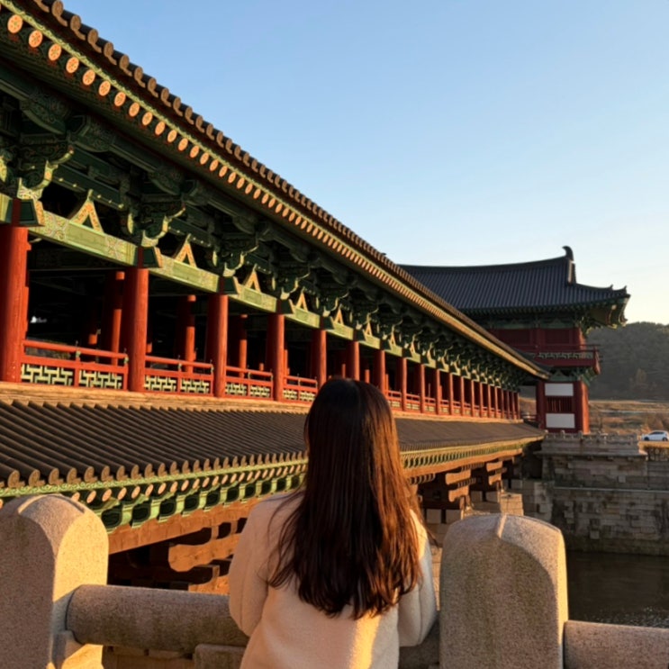  [가보기/경북 경주] 대구 근교 드라이브 가을나들이 가볼만한 곳 경주 당일치기 코스