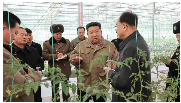 <b>김정은</b>이 유독 자주 찾는 이곳은?, <b>신의주온실종합농장</b>, 2월... 