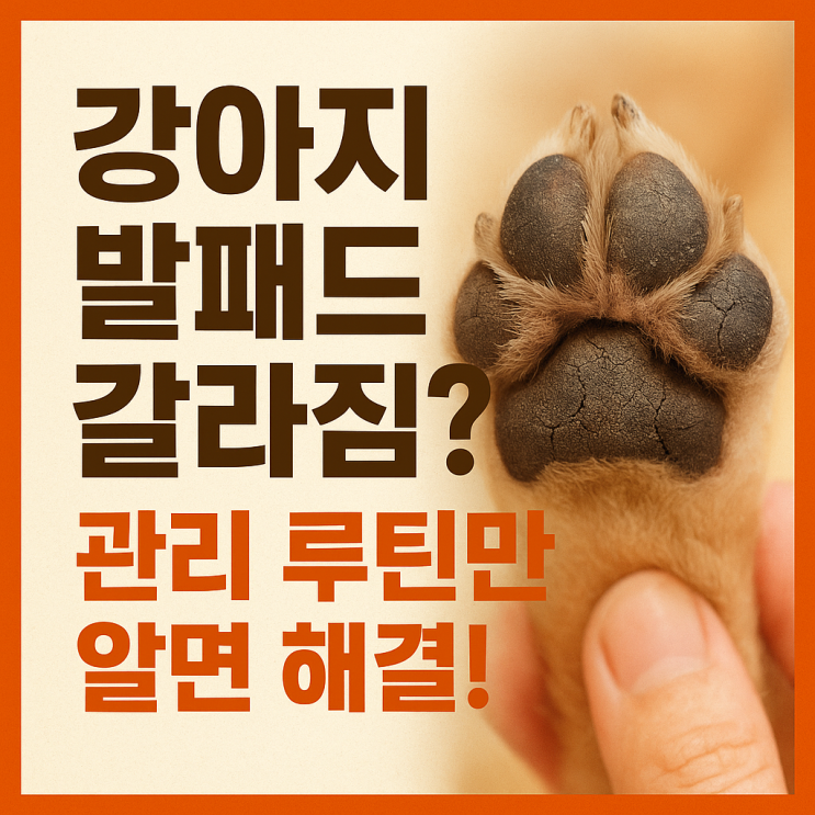  강아지 발바닥 패드, 관리만 잘해도 평생 편안합니다!
