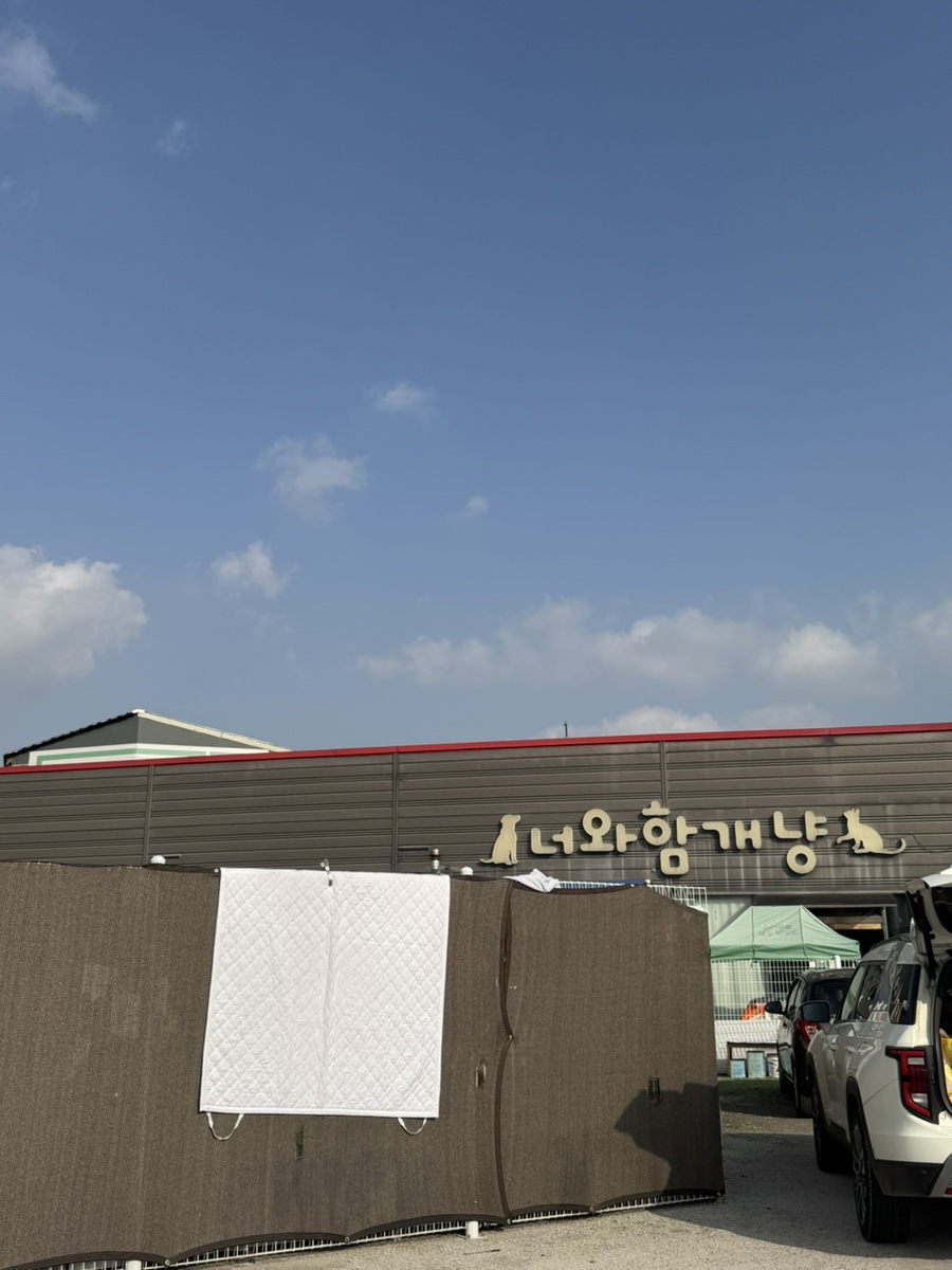 너와함개냥 사진