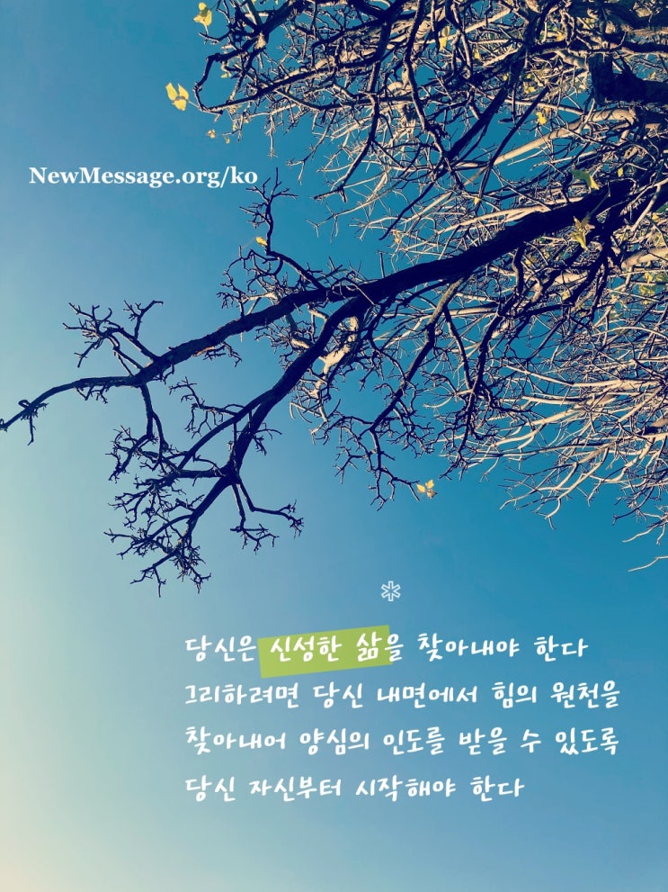  신성한 삶을 찾아내야 한다