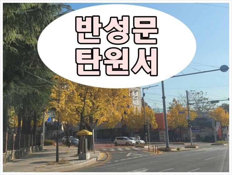 광주 반성문 탄원서 전문 행정사 사무소 면허구제까지