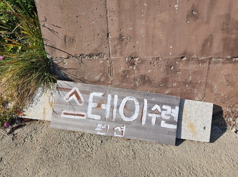 스테이 수련