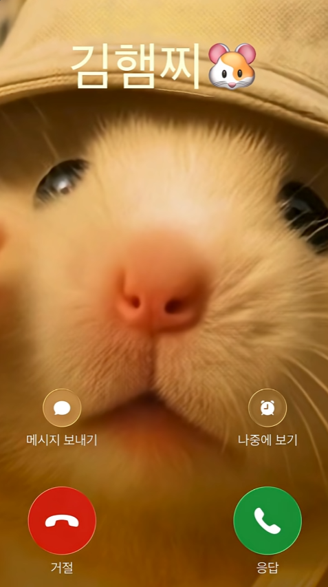  “정서불안 김햄찌도 이렇게 만들었다?” AI 영상 생성 툴 TOP3 완전 정복
