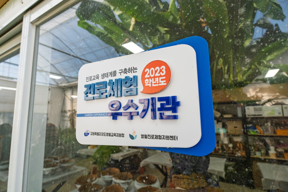 꽃구름 사진 6