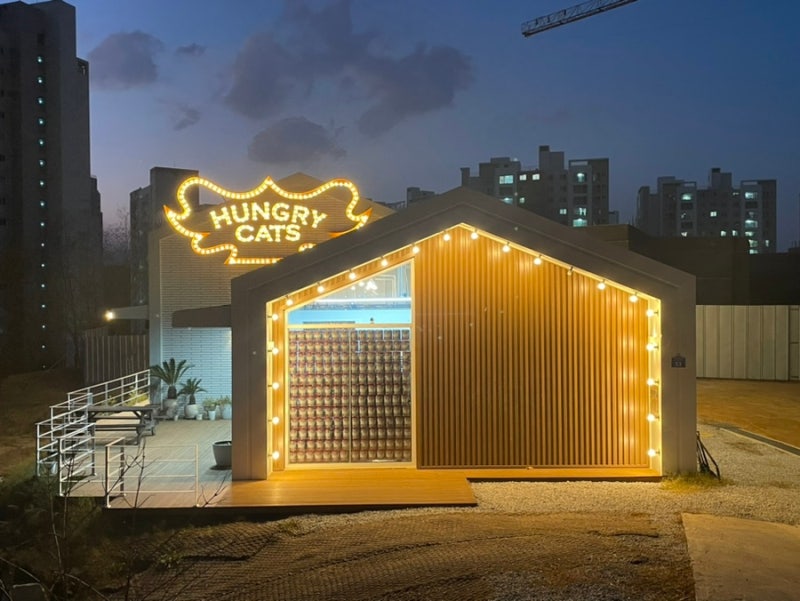 사진 4