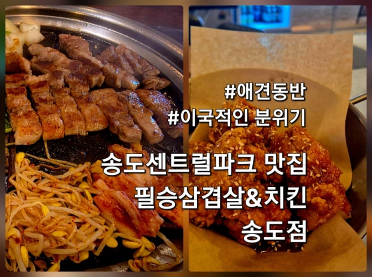  인천 송도 센트럴 파크 맛집 필승삼겹살&치킨 송도점 이국적인 애견동반 매장