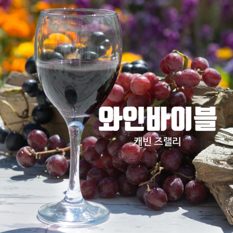  독서_주류 관련 술도서_와인 바이블 추천