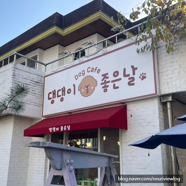 댕댕이좋은날 사진 3