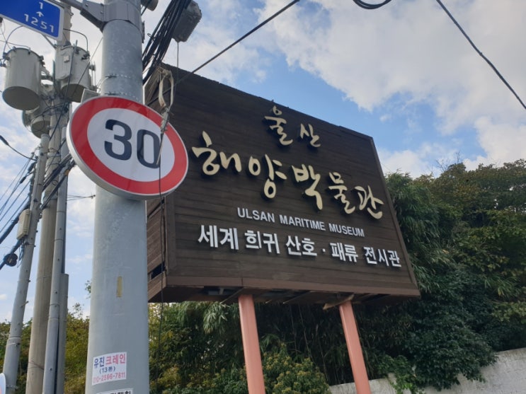  울산 간절곶 근처 울산해양박물관 입장료 체험
