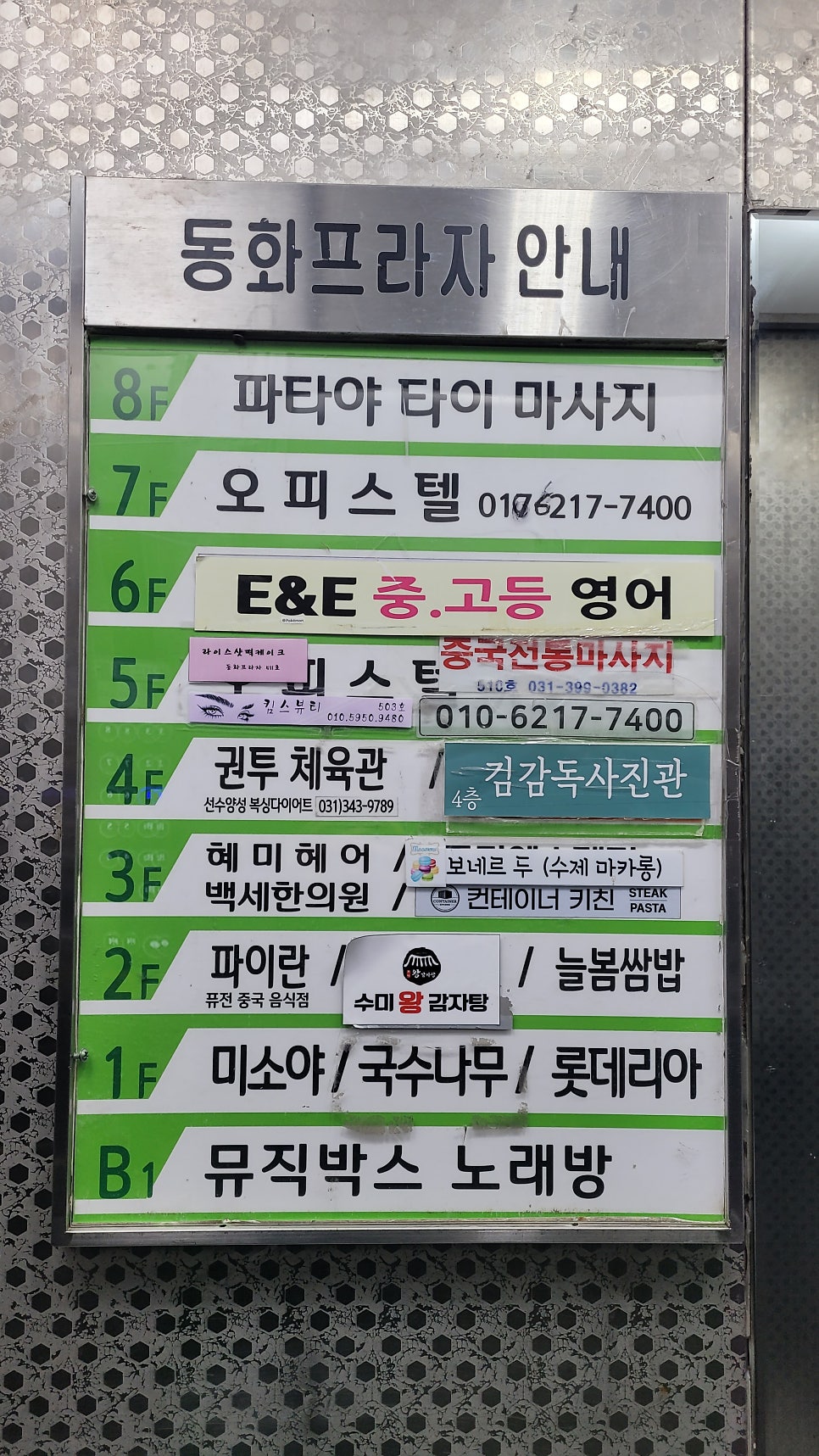 쑤쑤 사진 3