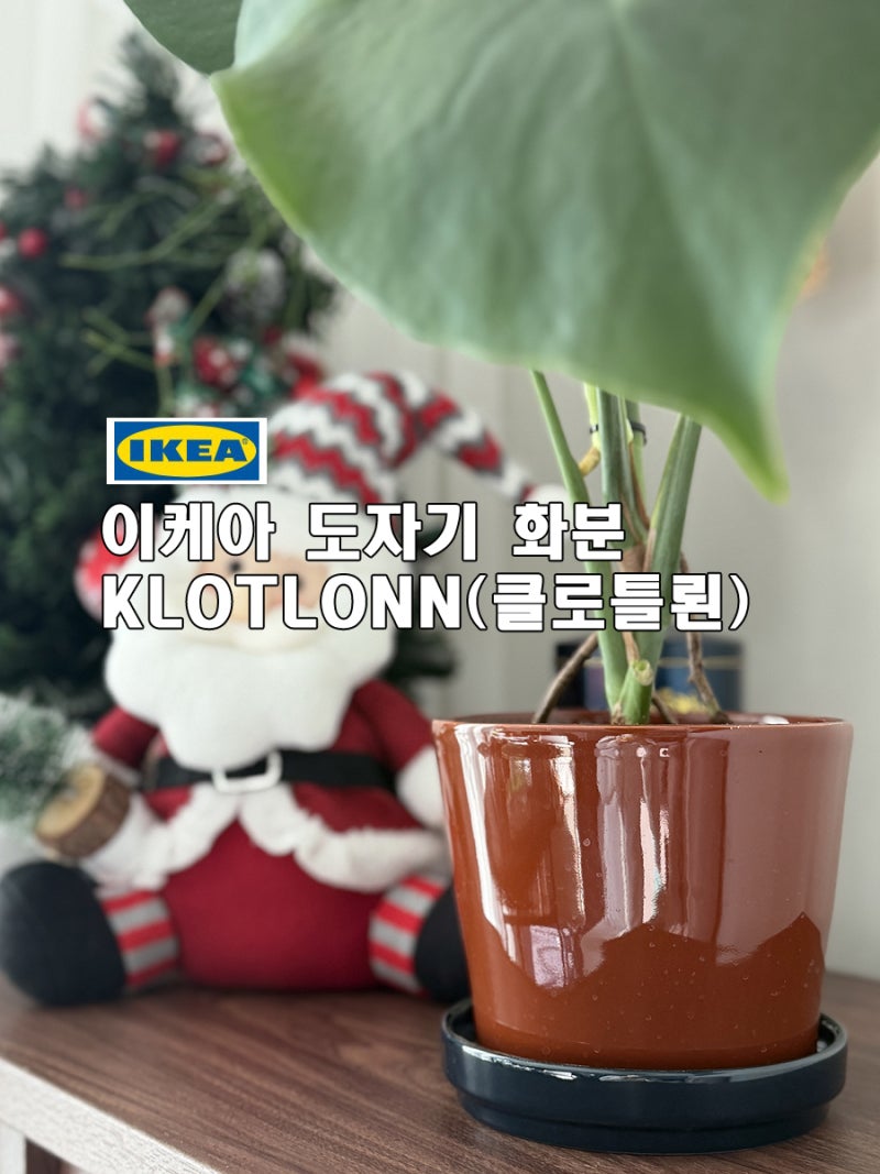 인테리어 화분 추천! 배수구 + 받침대 있는 이케아 도자기 화분