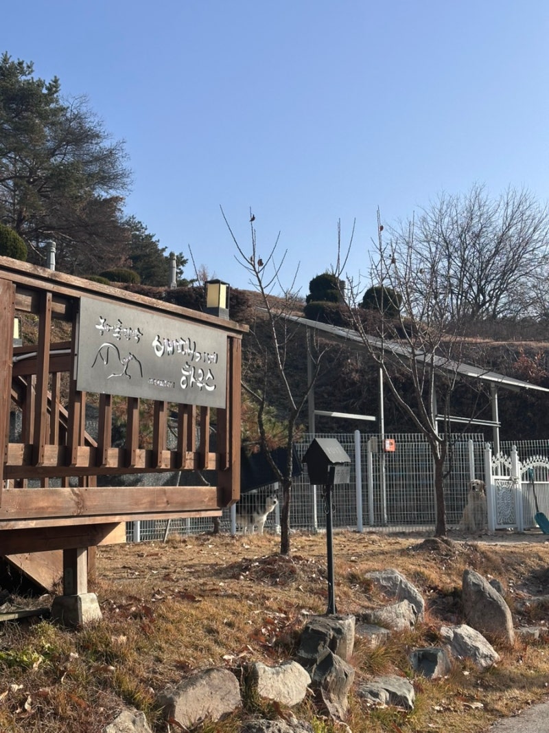 사진 5