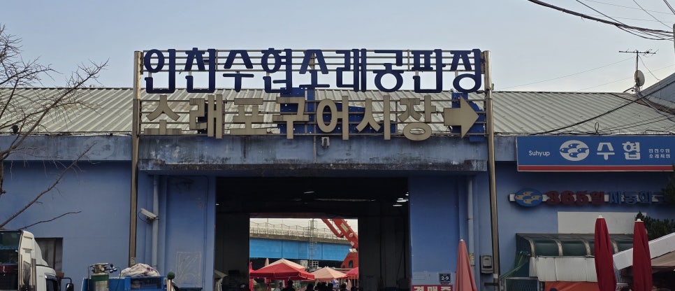 원조바지락손칼국수 사진 3