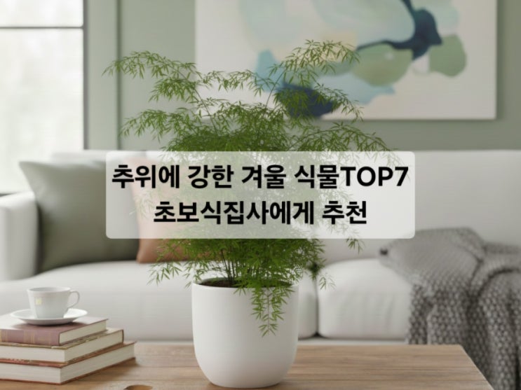 추위에 강한 겨울 식물 TOP 7  / 초보 식집사에게 추천 / 실패 없어요!