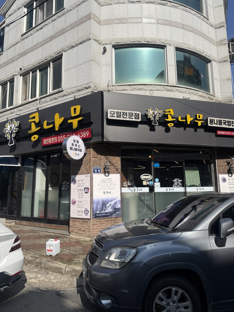 콩나무 사진 1