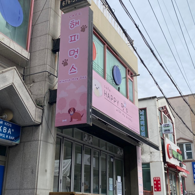 사진 7