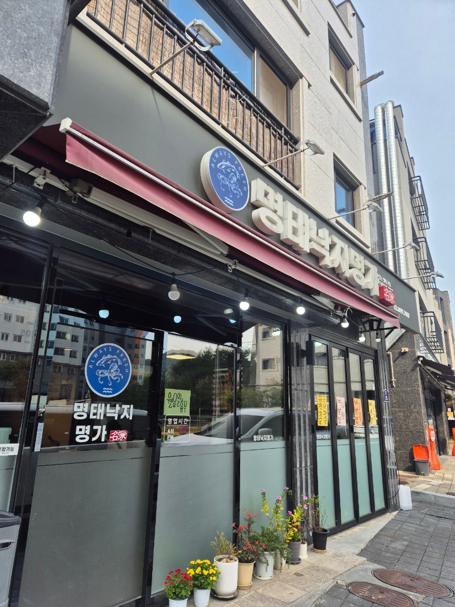 명태낙지명가 사진 2