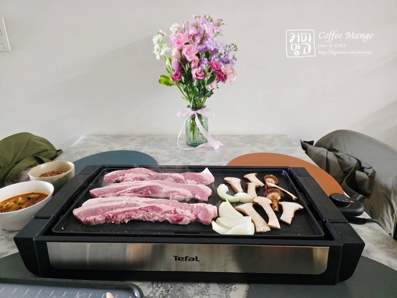 테팔 와이드 전기그릴 플랜차 추천