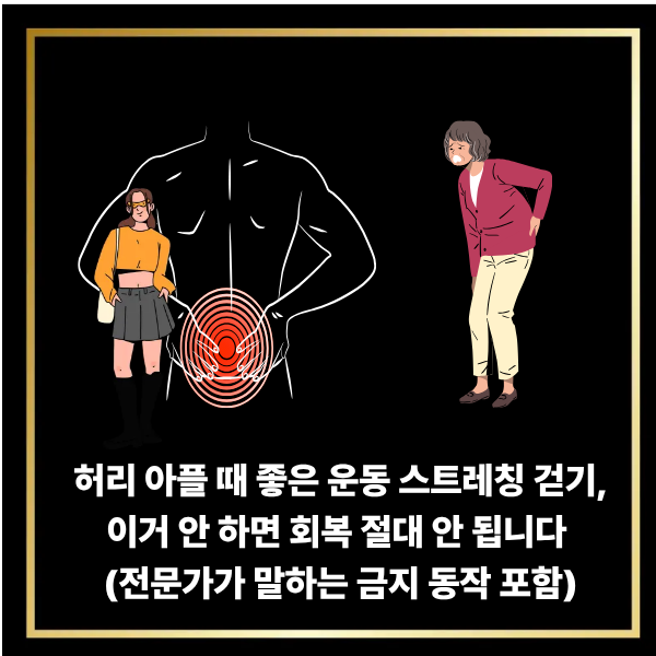  허리 아플 때 좋은 운동 스트레칭 걷기, 이거 안 하면 회복 절대 안 됩니다 (전문가가 말하는 금지 동작 포함)