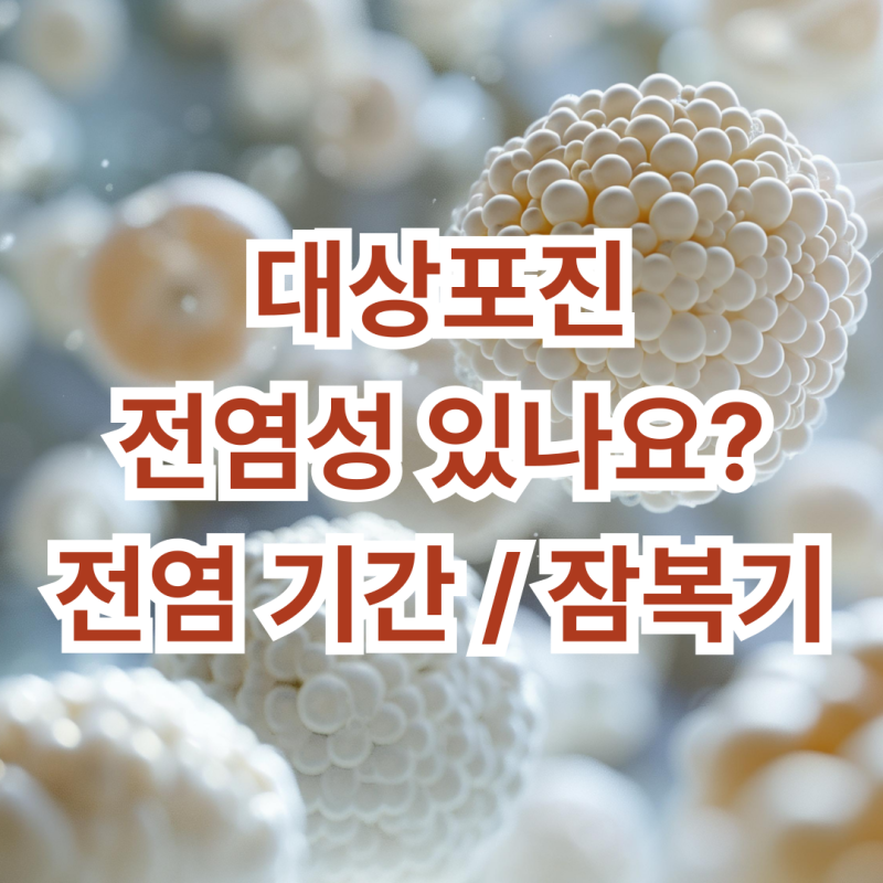 대상포진 전염성 있나요 기간 잠복기