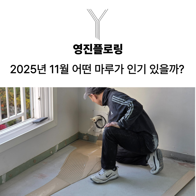  2025년 11월에는 어떤 마루가 인기 있었을까요?