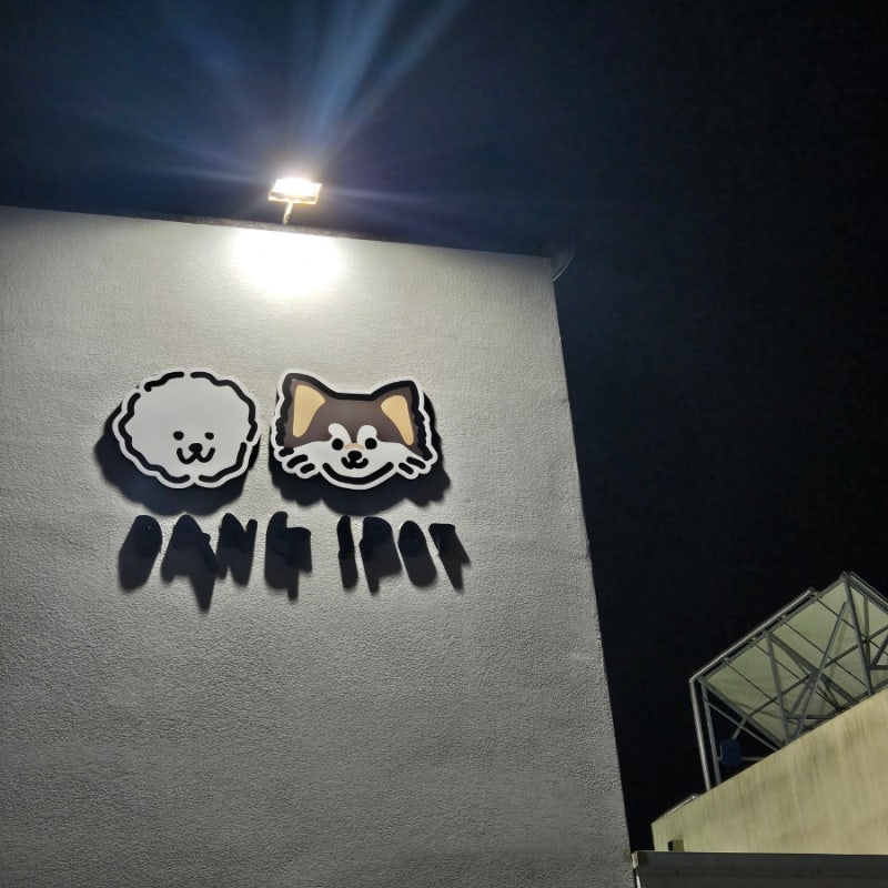 댕스팟