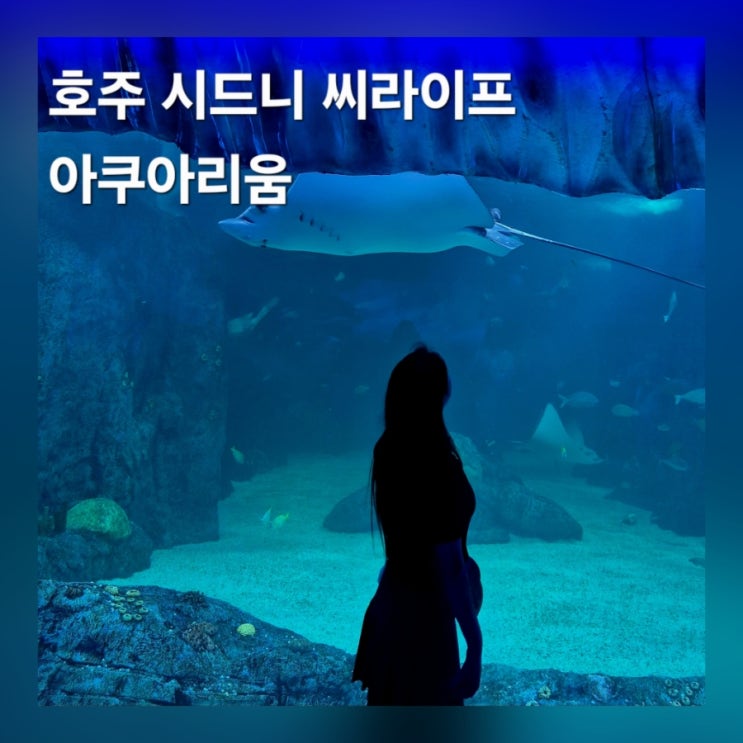  호주 시드니 아쿠아리움 씨라이프 수족관 티켓 가격 예약 후기