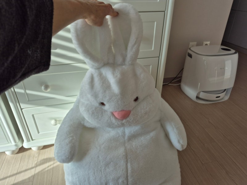 대형 인형 버리는 법! (의류수거함 가능? 종량제? 스티커? 총정리)