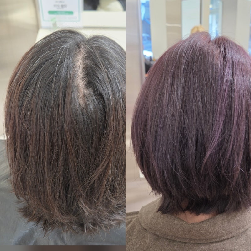 강릉미용실 나도헤어::알잘딱깔센 강릉헤어샵