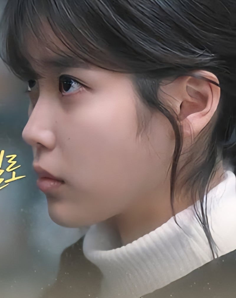 ✨ 국민 가수이자 시대의 아이콘, 배우 이지은 (아이유) 프로필 총정리 "나의 아저씨"