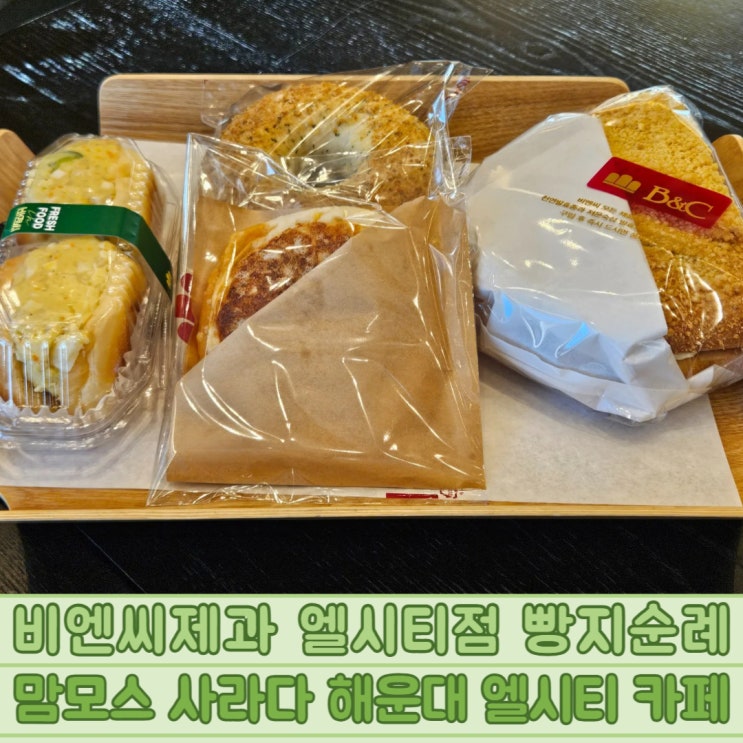  비엔씨제과 엘시티점 빵지순례 맘모스 사라다 해운대 엘시티 카페