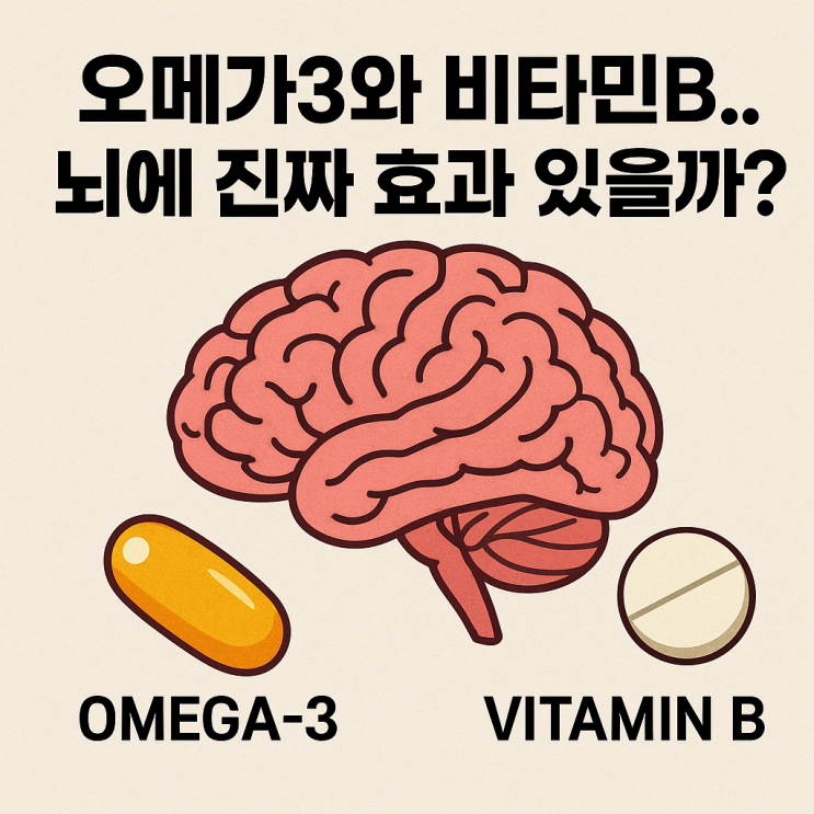  뇌 건강 영양제 – 오메가3·비타민B군의 실제 효과, 과연 뇌에 좋을까?