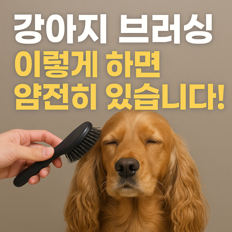  강아지 털 관리, 브러싱만 제대로 해도 절반은 해결된다!
